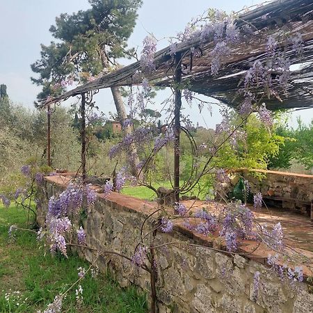 Casa Ezio Marchi - Due Appartamenti E Una Family Suite 베톨레 외부 사진